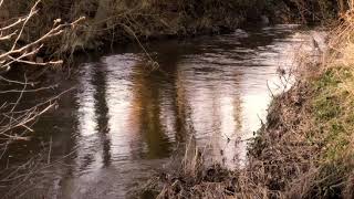 River Alyn Mold Flintshire North Wales [upl. by Irehs248]