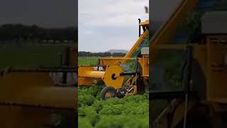 The Most Modern Agriculture Machines Innovations in Farming ▶29 shorts [upl. by Rickert804]