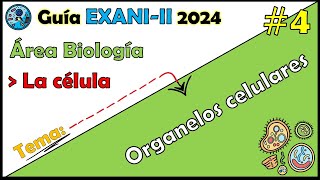 Curso EXANI II 2024 Biología La célula Organelos celulares Parte 1 4 [upl. by Aserat]