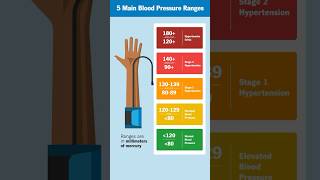 Whats a normal blood pressure range [upl. by Eirual]