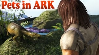 😍 ARK THE BEST PETS IN THE ECO TERRARIUM MOD Ark Survival Evolved Modded Gameplay [upl. by Pisano]