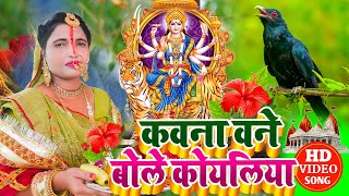 video देवी गीत  कवन बने बोले कोयलिया sunita lok geet devi pacra geet 2024 [upl. by Fevre583]