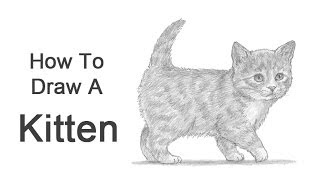 How to Draw a Kitten [upl. by Quickman]