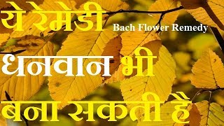 how to become rich with bach flower remedy in hindi by rohit nain [upl. by Rayford425]