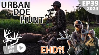 EHD IN IOWA  Urban Doe Hunt [upl. by Enelhtac]