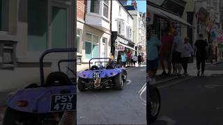 Incredible Beach Bug Discovery In Weymouth Uk [upl. by Annekim]