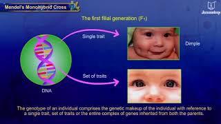 Heredity and Variation  Science and Technology  Grade 9  Jeevandeep [upl. by Alolomo]