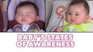 BABYS STATES OF AWARENESS SLEEP amp AWAKE  Baby Nuggets with Danielle Episode 9 [upl. by Htur658]