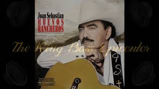 Joan Sebastian amp Lucero Golondrinas Viajeras Bass Epicenter [upl. by Ardys]