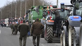 Colère des agriculteurs à travers lEurope  la mobilisation se poursuit [upl. by Llewen]