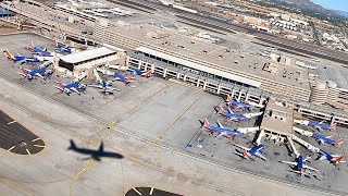 American Airlines Airbus A321 Takeoff at Phoenix Sky Harbor  PHX [upl. by Jermyn695]