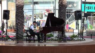 Everybody Wants to Be a Cat The Aristocats  Evan Chow pianist [upl. by Atalaya960]