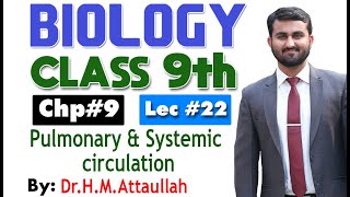 Pulmonary and systemic circulation  Chapter 9  9th class Biology  Lec 22 [upl. by Ahsenaj]