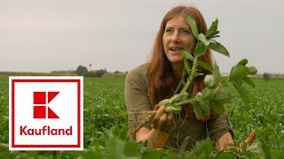 So geht biologischer Gemüseanbau in DemeterQualität  Kaufland [upl. by Selbbep429]