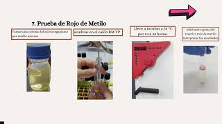 RECUENTO DE COLIFORMES TOTALES FECALES Y CLOSTRIDIUM SULFITO REDUCTORES [upl. by Anivle]