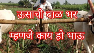 ऊसाची बाळ भर भरणी म्हणजे काय हो भाऊ sugarcane trailer management inter cultivation method [upl. by Ad]