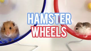 All About Hamster Wheels  Hamster Wheels 101 [upl. by Ahsan]