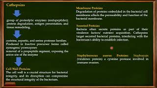 L29 Function of Cathepsins Granules in Neutrophils [upl. by Asalocin333]