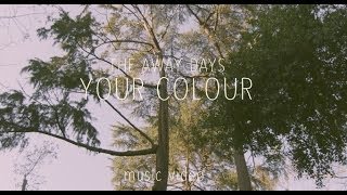 The Away Days  Your Colour Official Music Video [upl. by Madonna550]