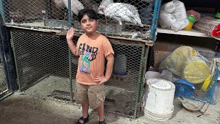 Aj ham log gaye Jeddah poultry farming 🐔makkah kizafamilyvlogworld kizafamilyvlog familay vlog [upl. by Elynad930]