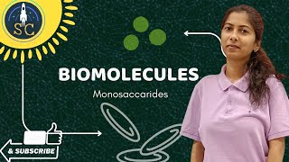 CARBOHYDRATES  BIOMOLECULES  BOTANY BIOMOLECULES CLASS  NEET  BOTANY BY ASHIMA [upl. by Lerat]