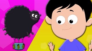 Baa Baa Mouton Noir  comptine  Babies Rhymes  Prsechool Song  Baa Baa Black Sheep [upl. by Notnelc]