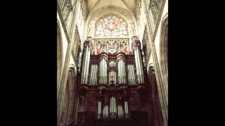 Johann Pachelbel Ciaccona in d minor  Walter Gatti joue à StMaclou  Rouen [upl. by Jd]