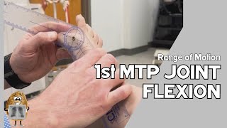 ROM Metatarsophalangeal MTP Joint I Flexion Active amp Passive Range of Motion [upl. by Ahsenot]