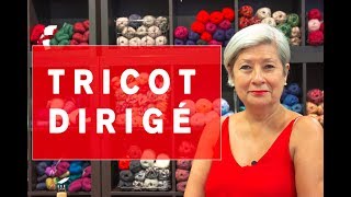 Tricot Dirigé [upl. by Auop]