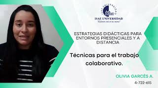 Técnicas para el Trabajo Colaborativo [upl. by Erual250]