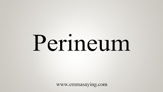 How To Say Perineum [upl. by Idnahc274]