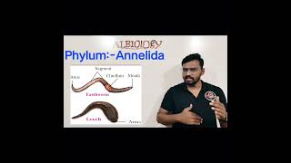 Phylum Annelida  Animal classification  Viral Short  Avinash sir [upl. by Ware]