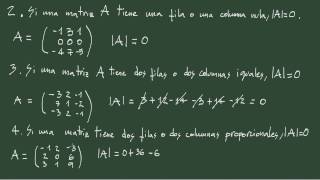 3 Propiedades de los determinantes II [upl. by Flanigan]