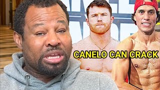 Shane Mosley WARNS Benavidez on Canelo CRACKING KO Power amp BREAKS DOWN Canelo PROBLEMS vs Benavidez [upl. by Sallee210]