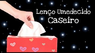 quotLenço Umedecido Caseiroquot  DIY [upl. by Ardyaf]