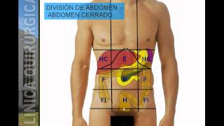 ¡AORTA ABDOMINAL EN 3 MINUTOS ANATOMIA  Mentes Médicas [upl. by Nnairek260]