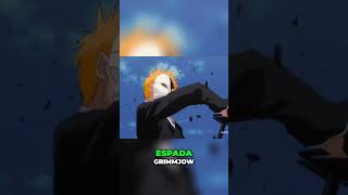 ¡Batalla épica Ichigo vs Grimmjow en el combate final [upl. by Manheim]