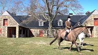 Horsefields Farm  Upperville Virginia Equestrian Estate [upl. by Aleahcim]