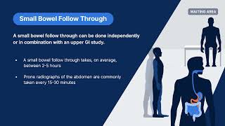 Radiology Procedures  Small Bowel Follow Through SMFT [upl. by Lillywhite510]