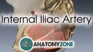 5 MINUTOS DE ABDOMINALES INTENSOS [upl. by Even124]