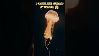 CONHEÇA A VESPADOMAR  O ANIMAL MAIS VENENOSO DO MUNDO curiosidades animais [upl. by Lletniuq126]