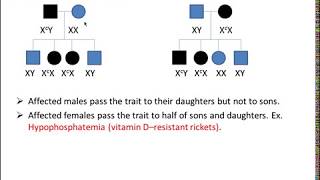 Pedigree analysis [upl. by Brittne864]