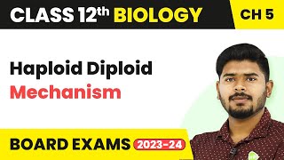 Karyotype Haploid amp Diploid Cell Types [upl. by Haisi]