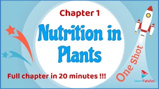 Class 7 Science Chapter 1 Nutrition in Plants  One Shot in 20 minutes  CBSE Class 7 [upl. by Neelrihs819]