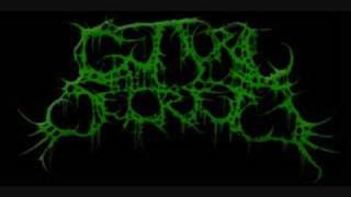 Guttural Secrete  Torturous Impregnation [upl. by Aivatnwahs]