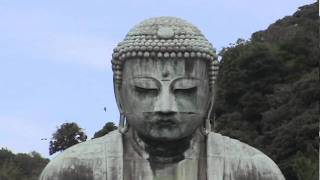 Japans Great Buddha of Kamakura  Kotokuin Daibutsu 高徳院大仏  Japan As It Truly Is [upl. by Zea]