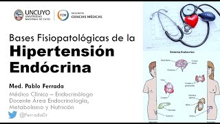 Bases fisiopatológicas de la HTA endocrina Dr Ferrada [upl. by Nwahser]