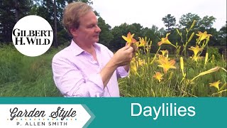 How to Plant and Care for Daylilies  Garden Style 1906 [upl. by Elsbeth]