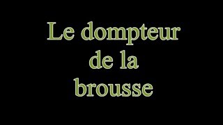 Hymne National du Sénégal et ses autres couplets à la fin hymne afrique senegal [upl. by Reinar791]