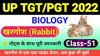 खरगोश Rabbit  Oryctolagus cuniculus  morphology and anatomy oryctolagus cuniculus in hindi [upl. by Fried]